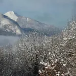 L'echappee Des Reves *