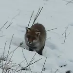 Шале L'echappee Des Reves Verchaix